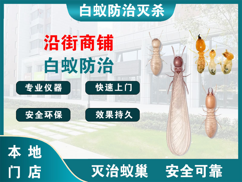 平湖市沿街商铺白蚁防治