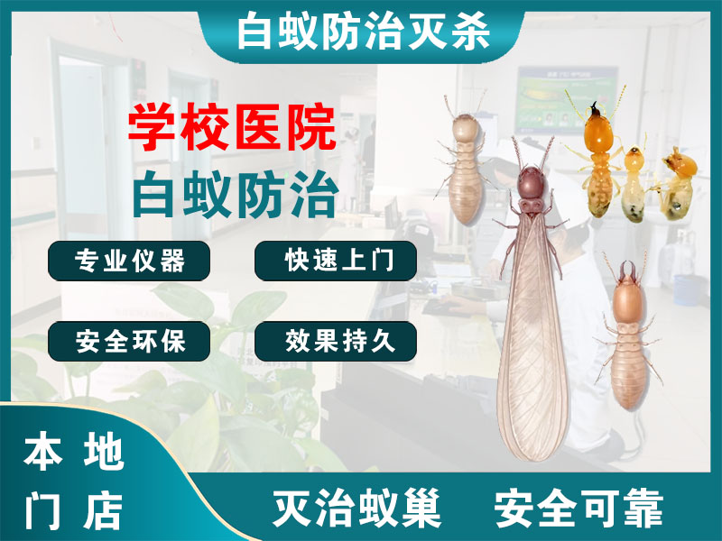 平湖市学校医院白蚁防治