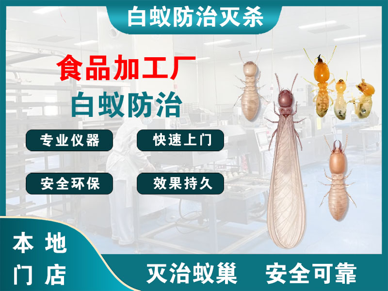 平湖市食品加工厂白蚁防治