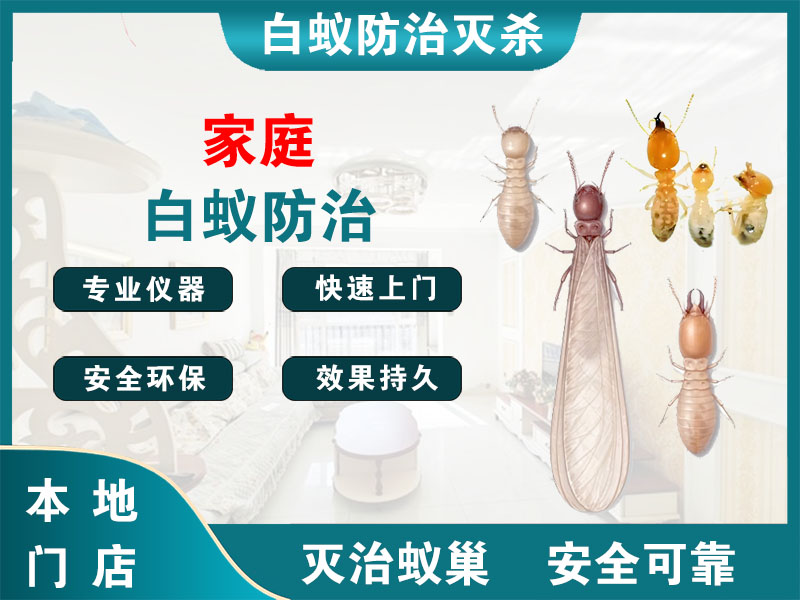 平湖市家庭白蚁防治