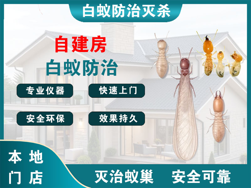 平湖市自建房白蚁防治
