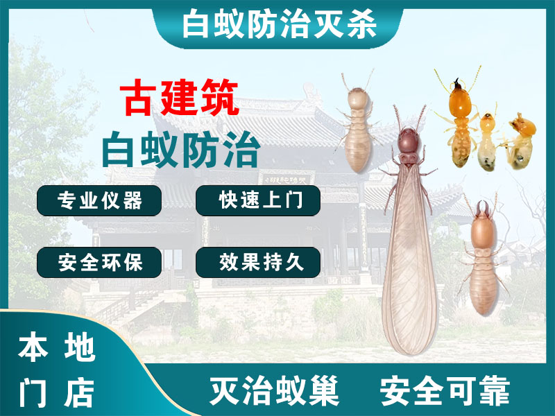 平湖市古建筑白蚁防治
