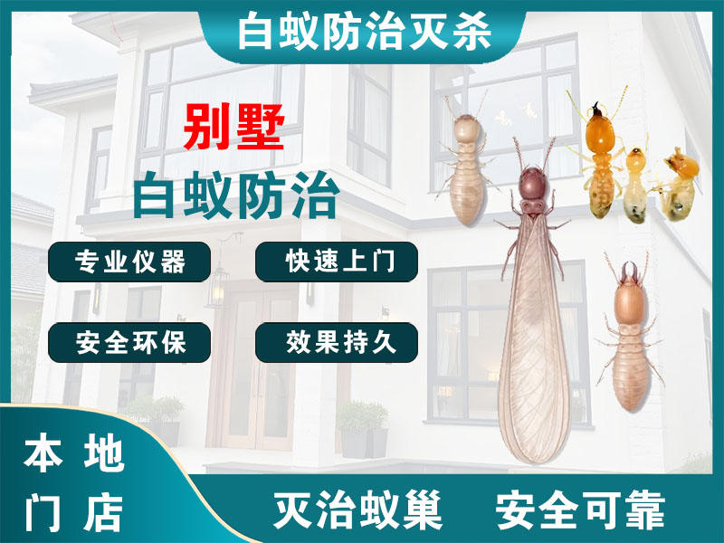 平湖市别墅白蚁防治