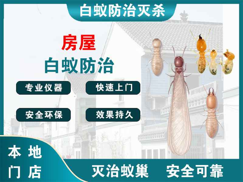 平湖市房屋白蚁防治